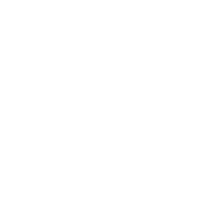 chat-icon